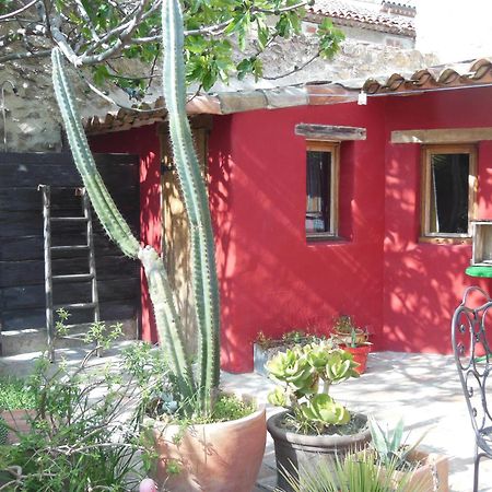 Maison Dans Jardin Villeseque-des-Corbieres 外观 照片