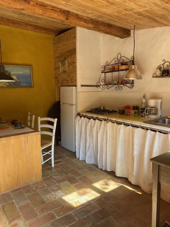 Maison Dans Jardin Villeseque-des-Corbieres 外观 照片